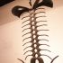 20121124 13 44 12 Giro SP-57